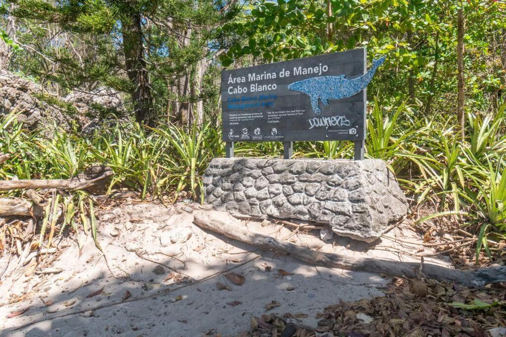 Surfside Apartments - Mal Pais Malpaís Eksteriør billede